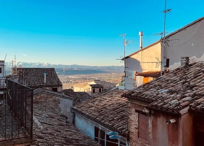 Oliva * Recanati