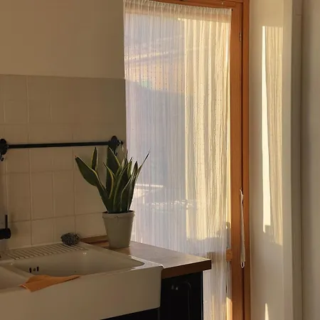 Oliva * 레카나티